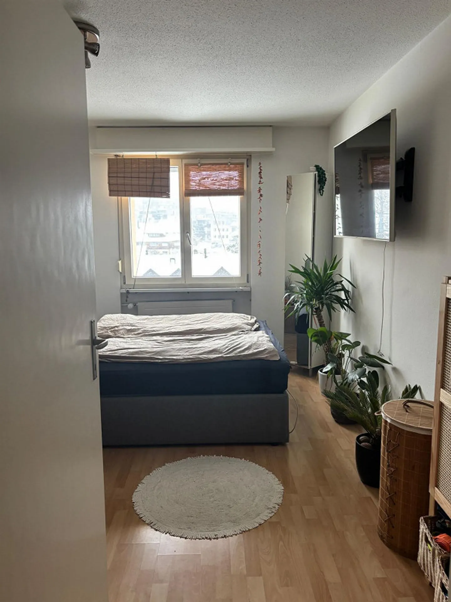 Appartamento luminoso di 3 stanze a Dielsdorf cerca un nuovo inquilino - Foto 1 di 11