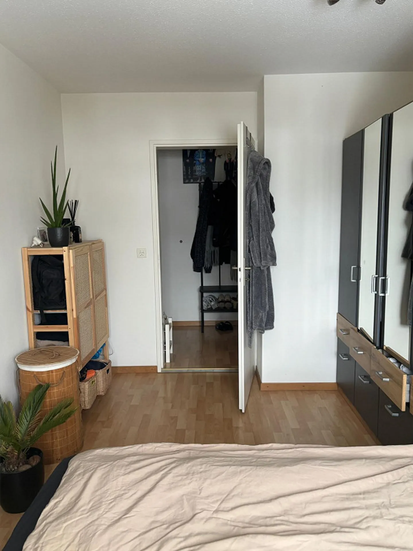 Appartamento luminoso di 3 stanze a Dielsdorf cerca un nuovo inquilino - Foto 2 di 11