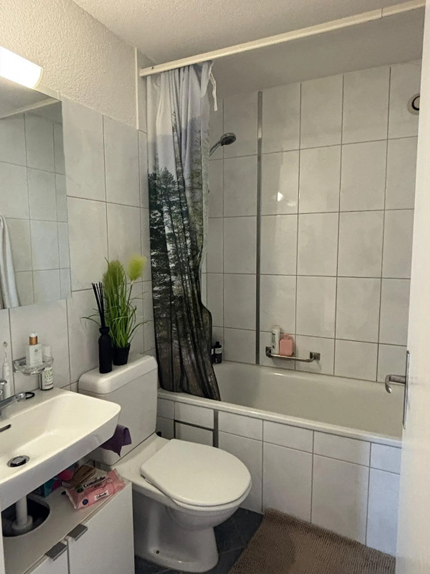 Appartamento luminoso di 3 stanze a Dielsdorf cerca un nuovo inquilino - Foto 11 di 11