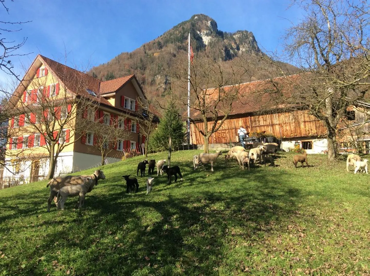 Privilegierte Dachwohnung mit Panoramablick über Gersau - Foto 2 von 12