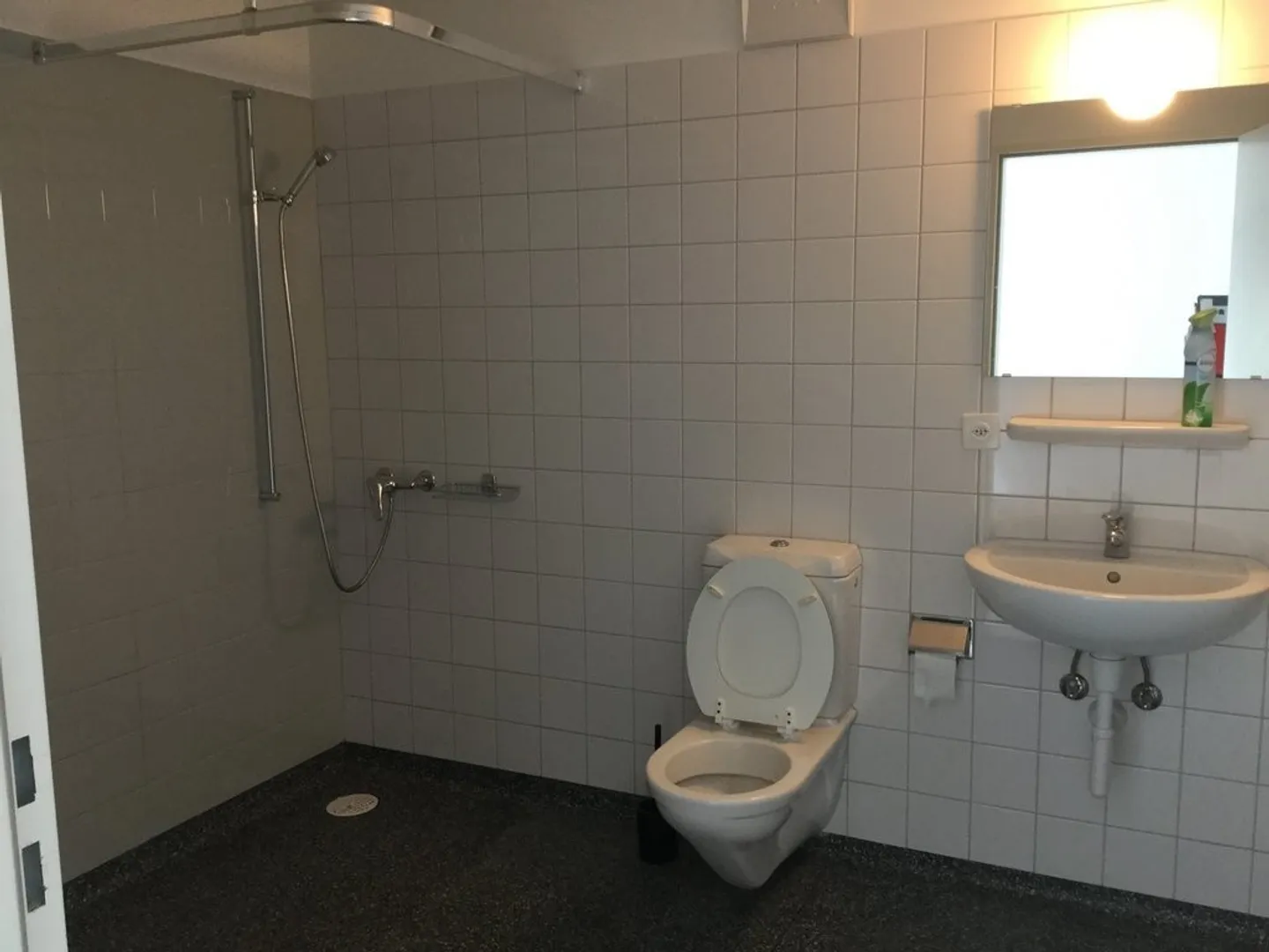 Bright and Beautiful Studio - Photo 3 of 3