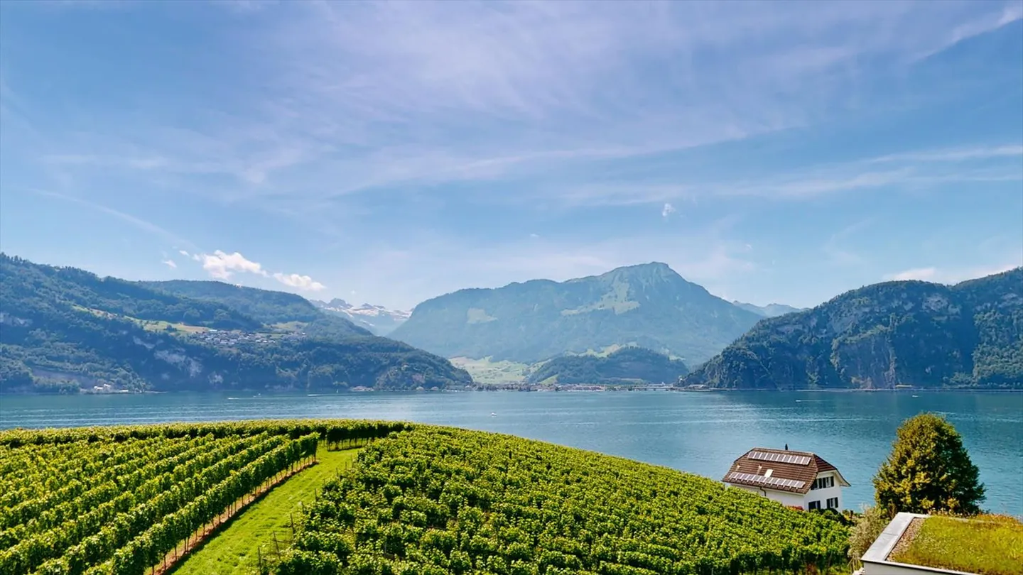 Charmantes Einfamilienhaus mit Seeblick - Foto 1 von 7
