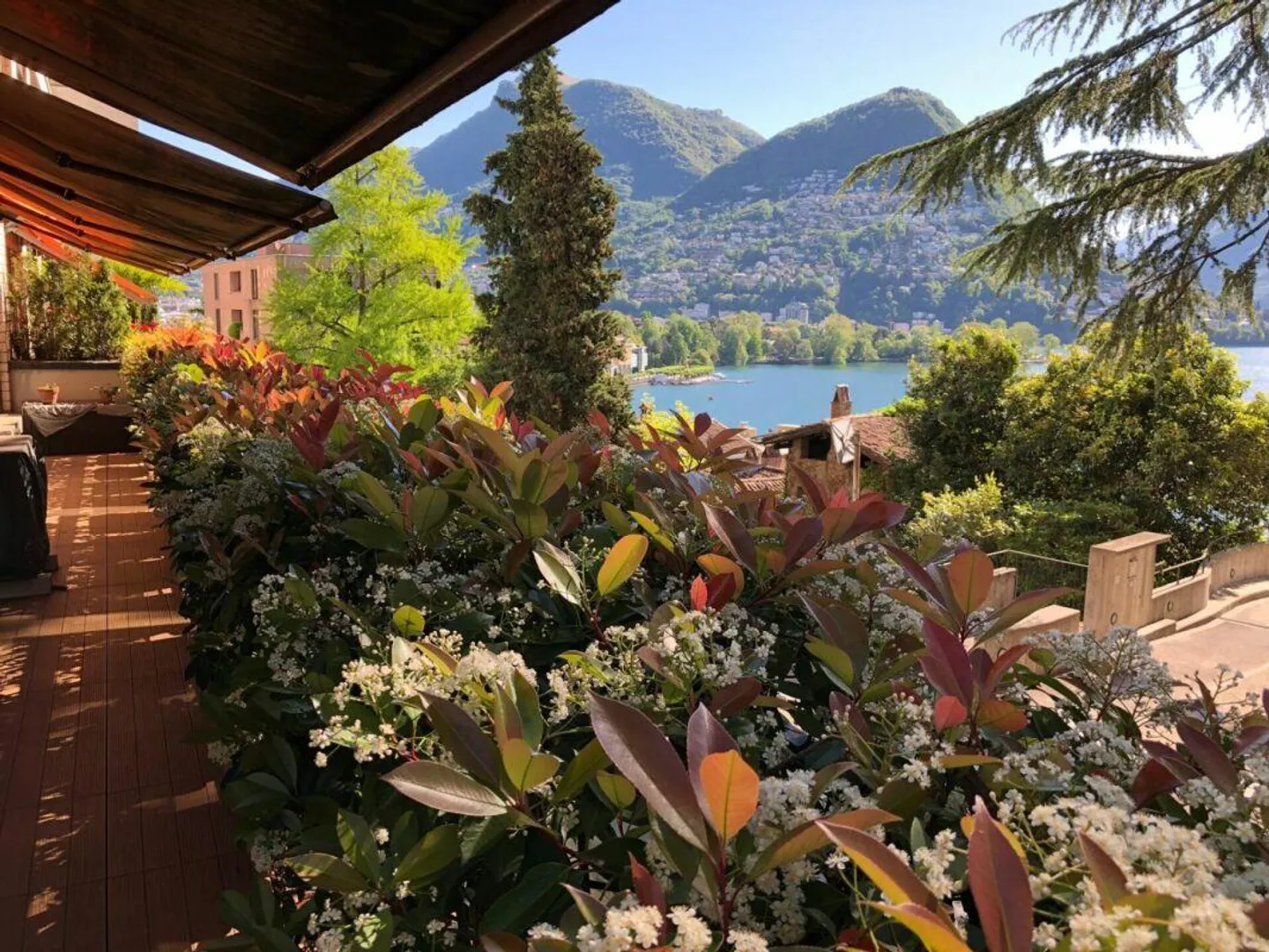 Splendid 3.5 in city center with lake view - Photo 4 of 14