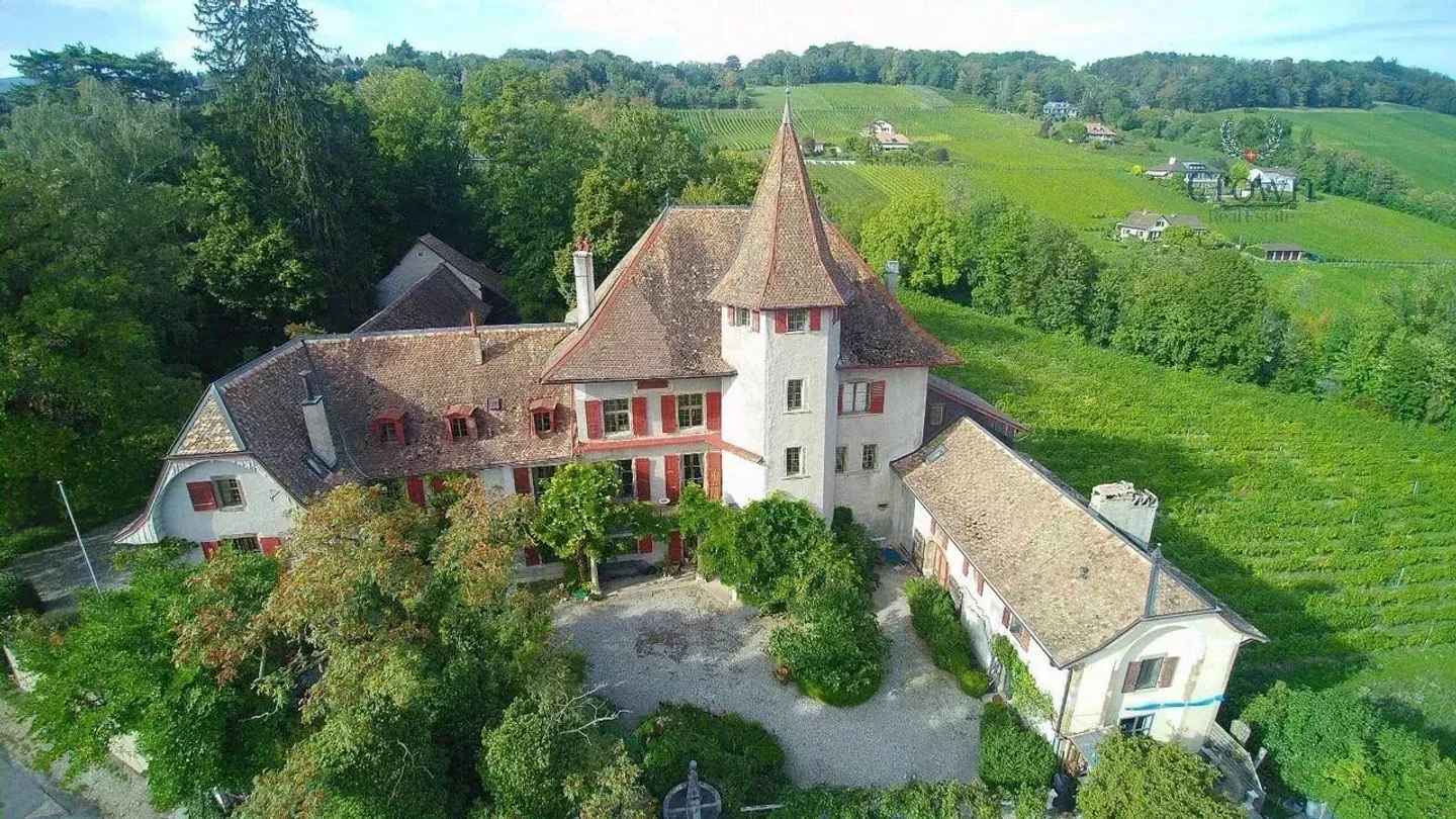 Erbe e Storia - Foto 8 di 13