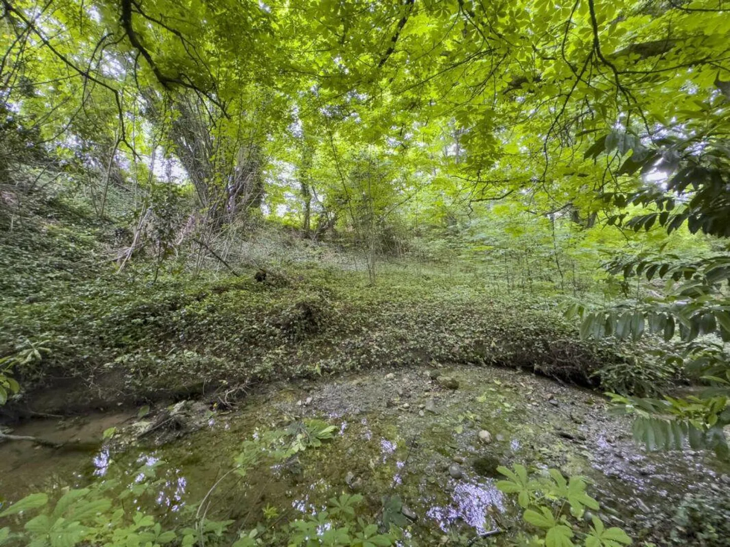 Einzelvilla 8.5 Zimmer in Tannay - Foto 14 von 15