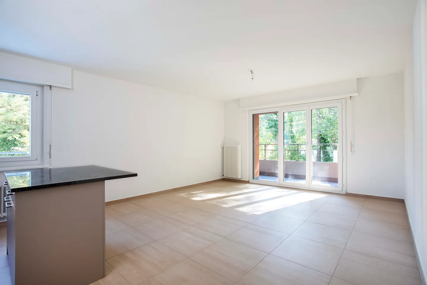 3.5 Room Apartment - Photo 1 of 8
