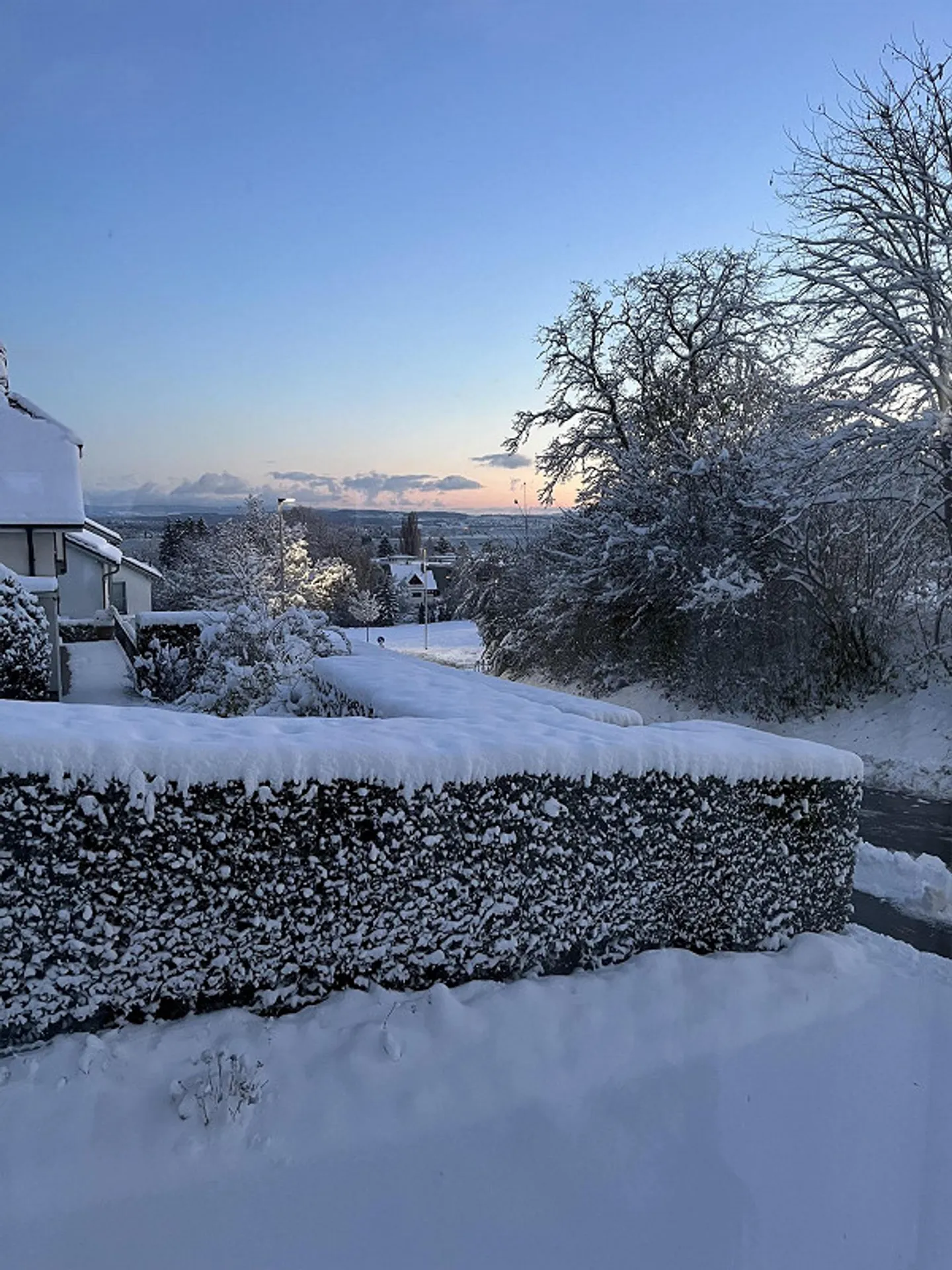 Appartement de 2,5 pièces au rez-de-chaussée avec jardin privé et vue sur le lac de Constance - Photo 1 sur 7
