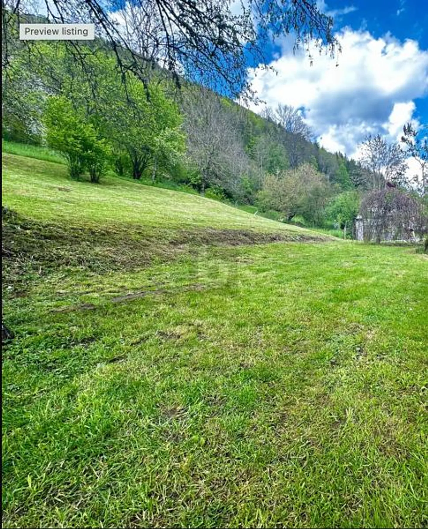 POTENTIAL IN THE HEART OF SONVILIER - Photo 2 of 3