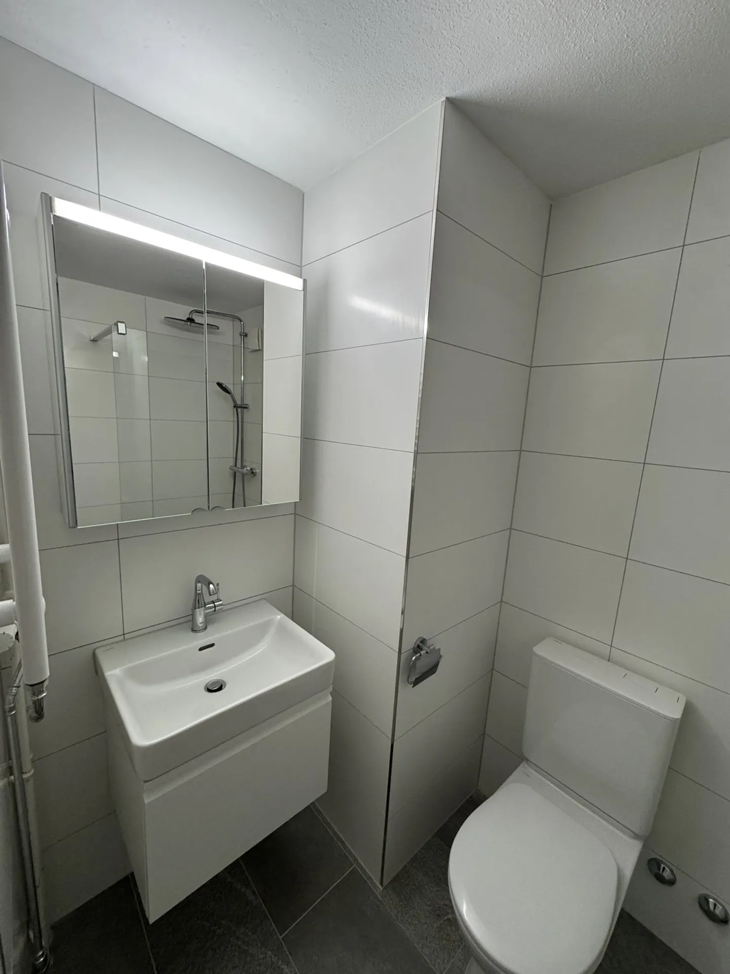 Charming 2.5-room apartment with modern kitchen and renovated bathroom - Photo 2 of 5