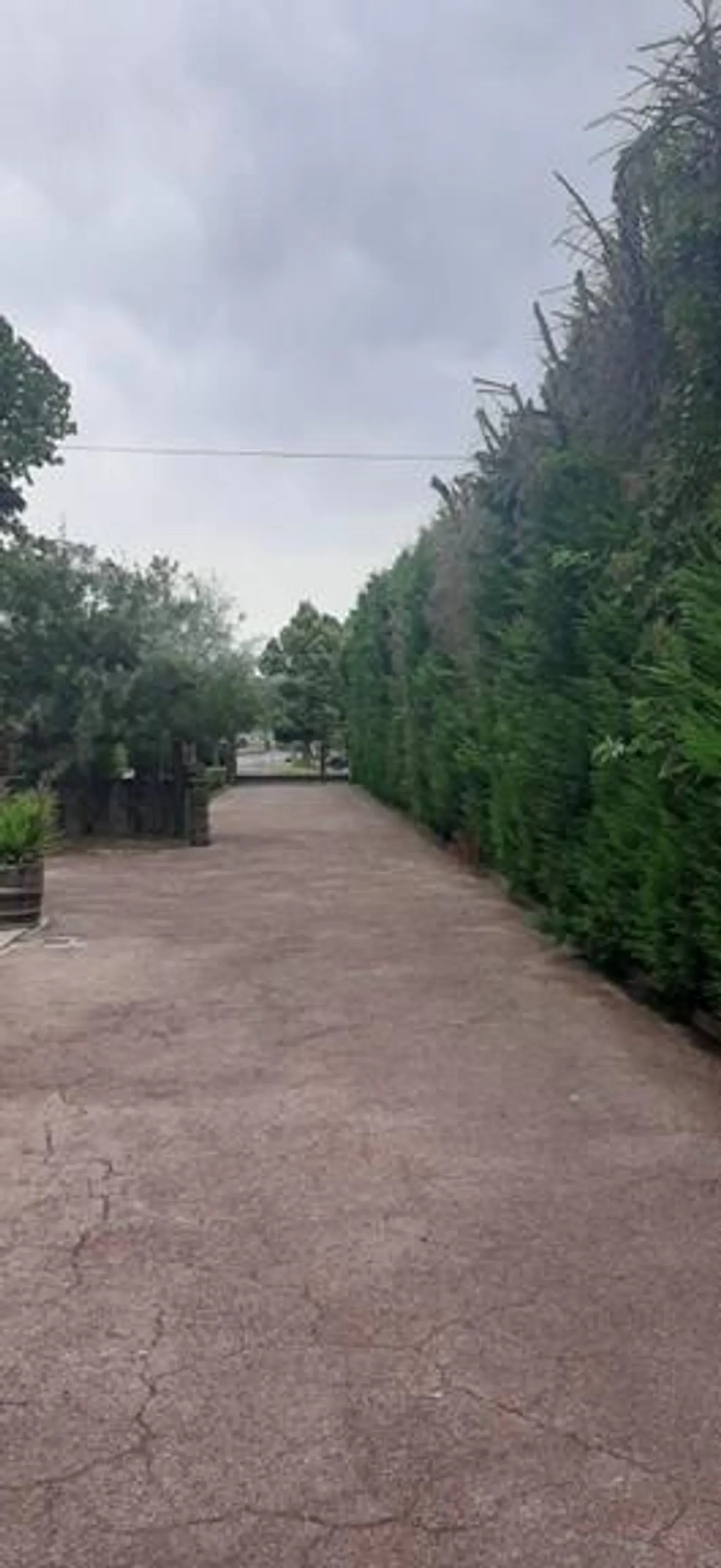 Villa in einem jahrhundertealten Park - Vicenza - Foto 6 von 17