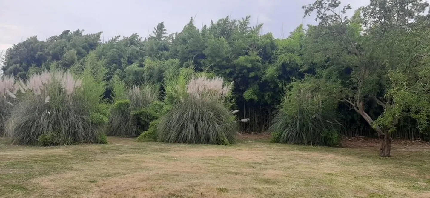 Villa in einem jahrhundertealten Park - Vicenza - Foto 8 von 17