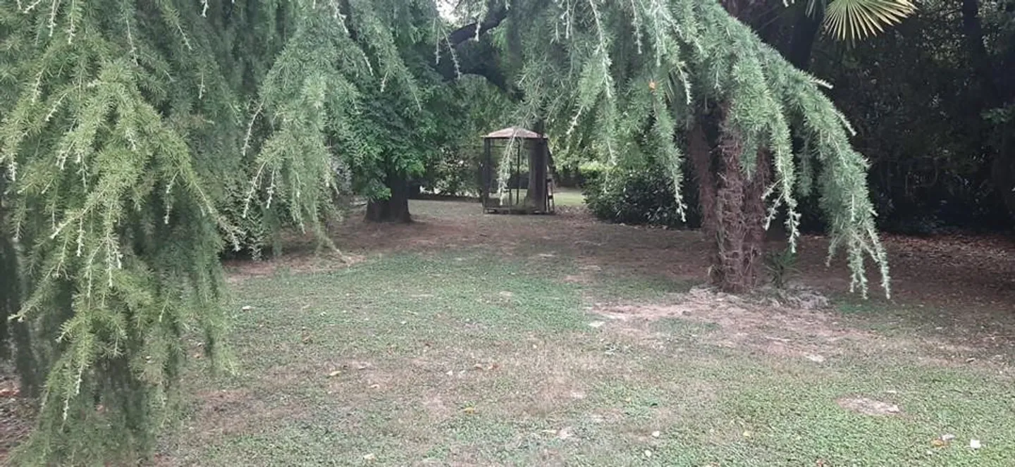 Villa in einem jahrhundertealten Park - Vicenza - Foto 14 von 17