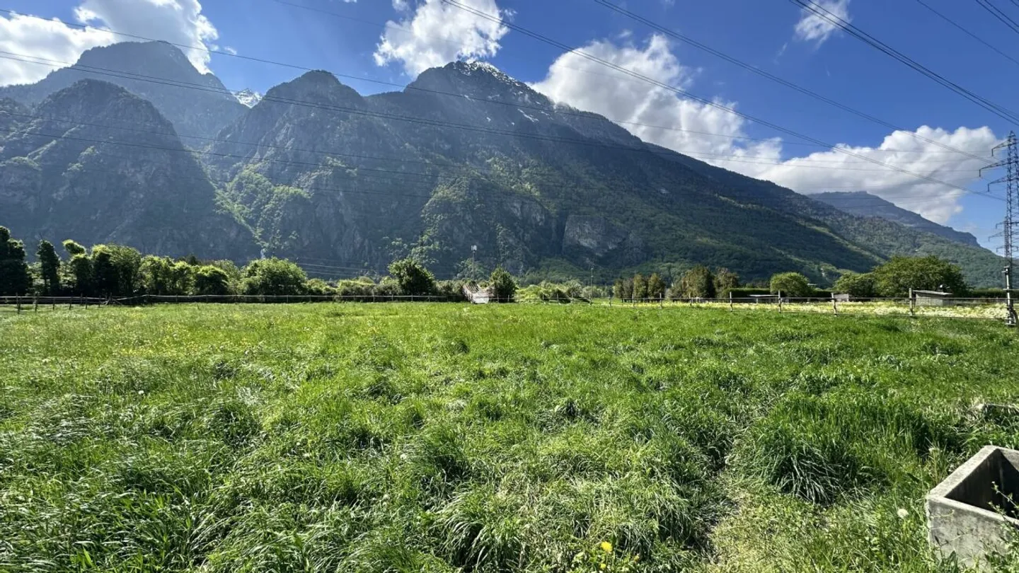 Einfamilienhaus kaufen - Foto 5 von 22