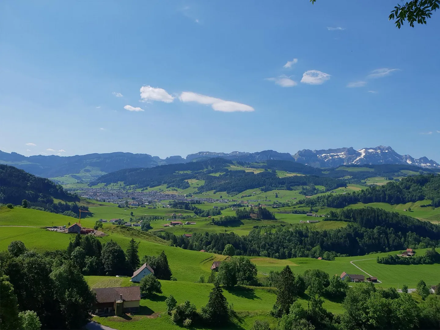 Oggetto per amatori a Appenzell-Schlatt - Foto 1 di 7