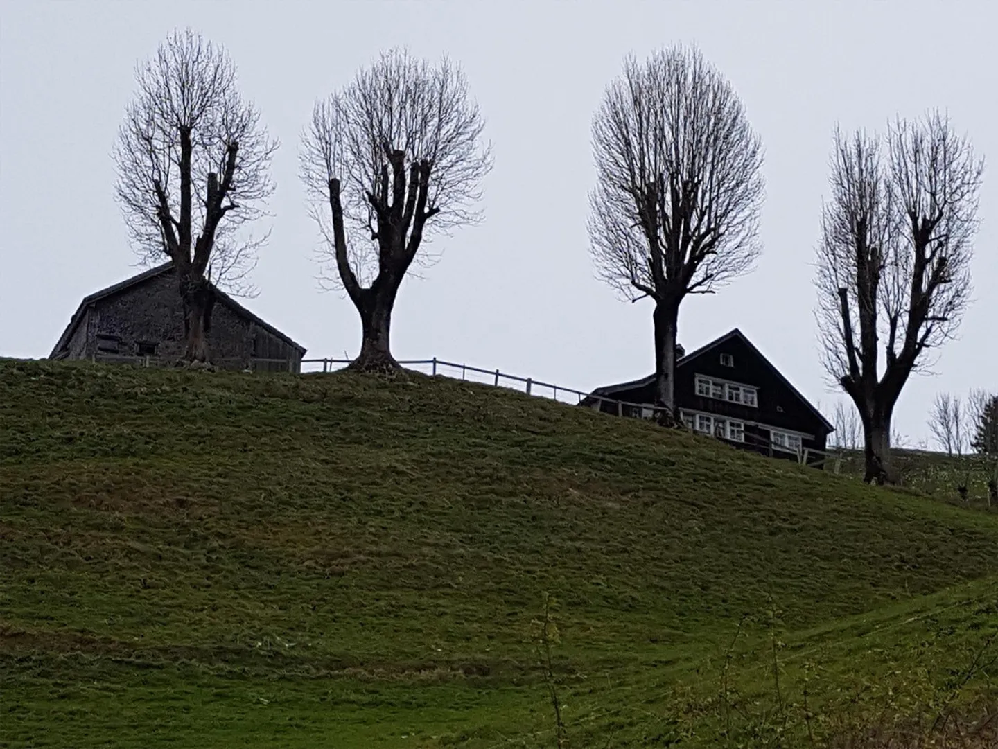 Oggetto per amatori a Appenzell-Schlatt - Foto 3 di 7