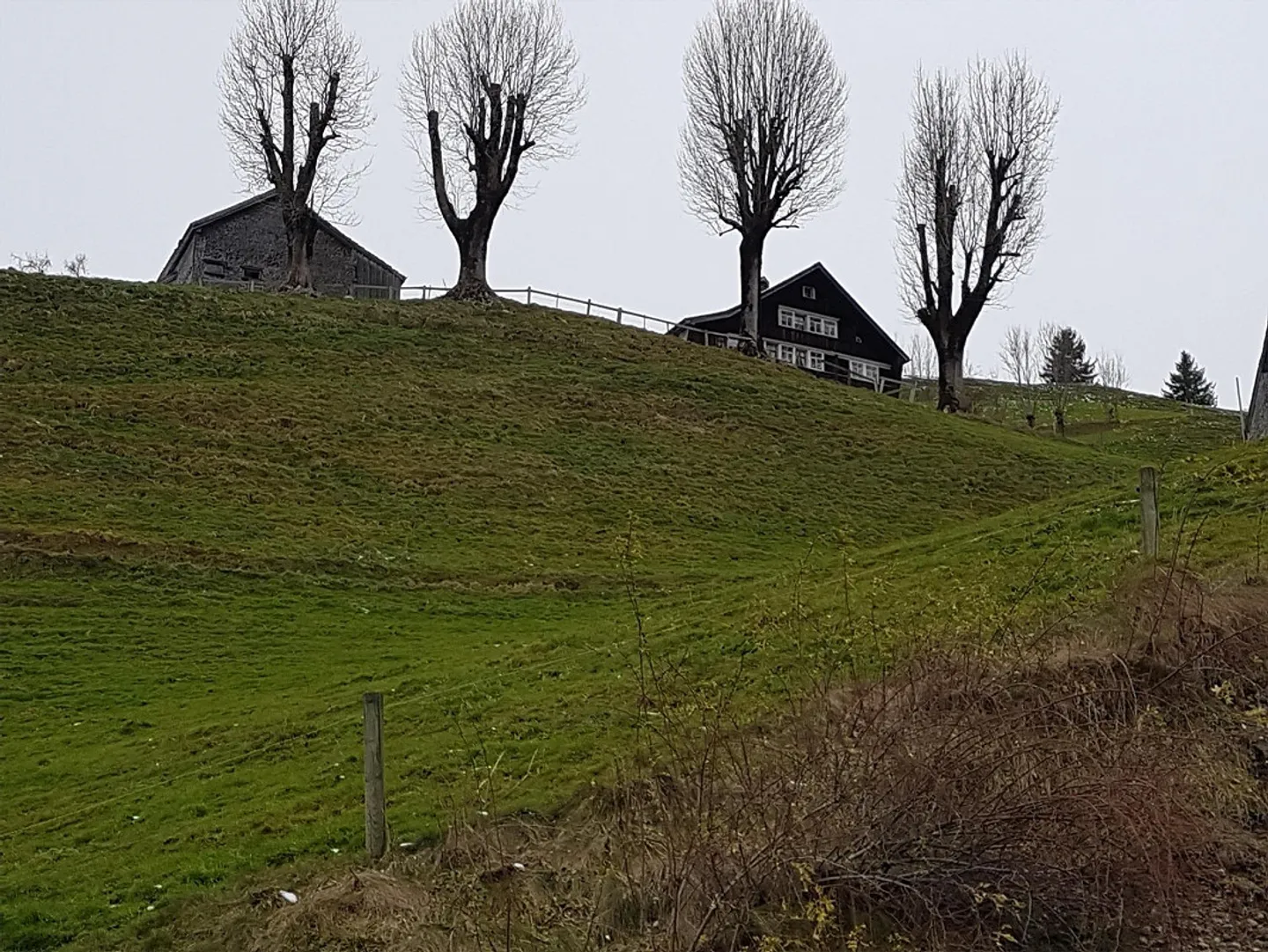 Oggetto per amatori a Appenzell-Schlatt - Foto 4 di 7