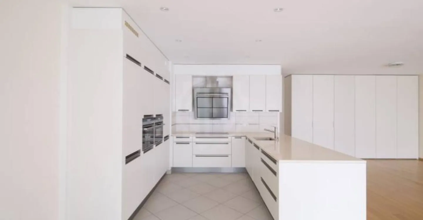 Magnificent apartment - Carouge GE - Photo 4 of 12