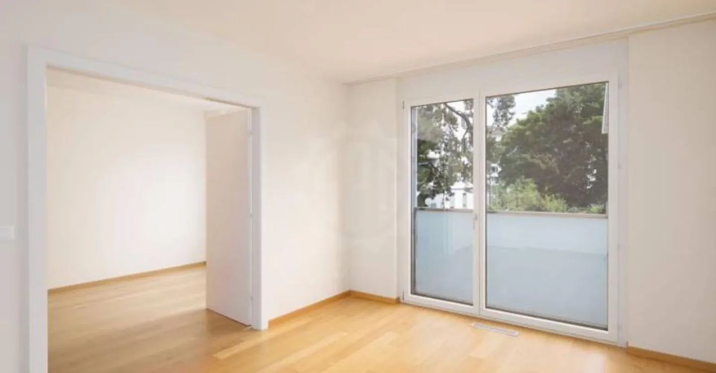 Magnificent apartment - Carouge GE - Photo 5 of 12