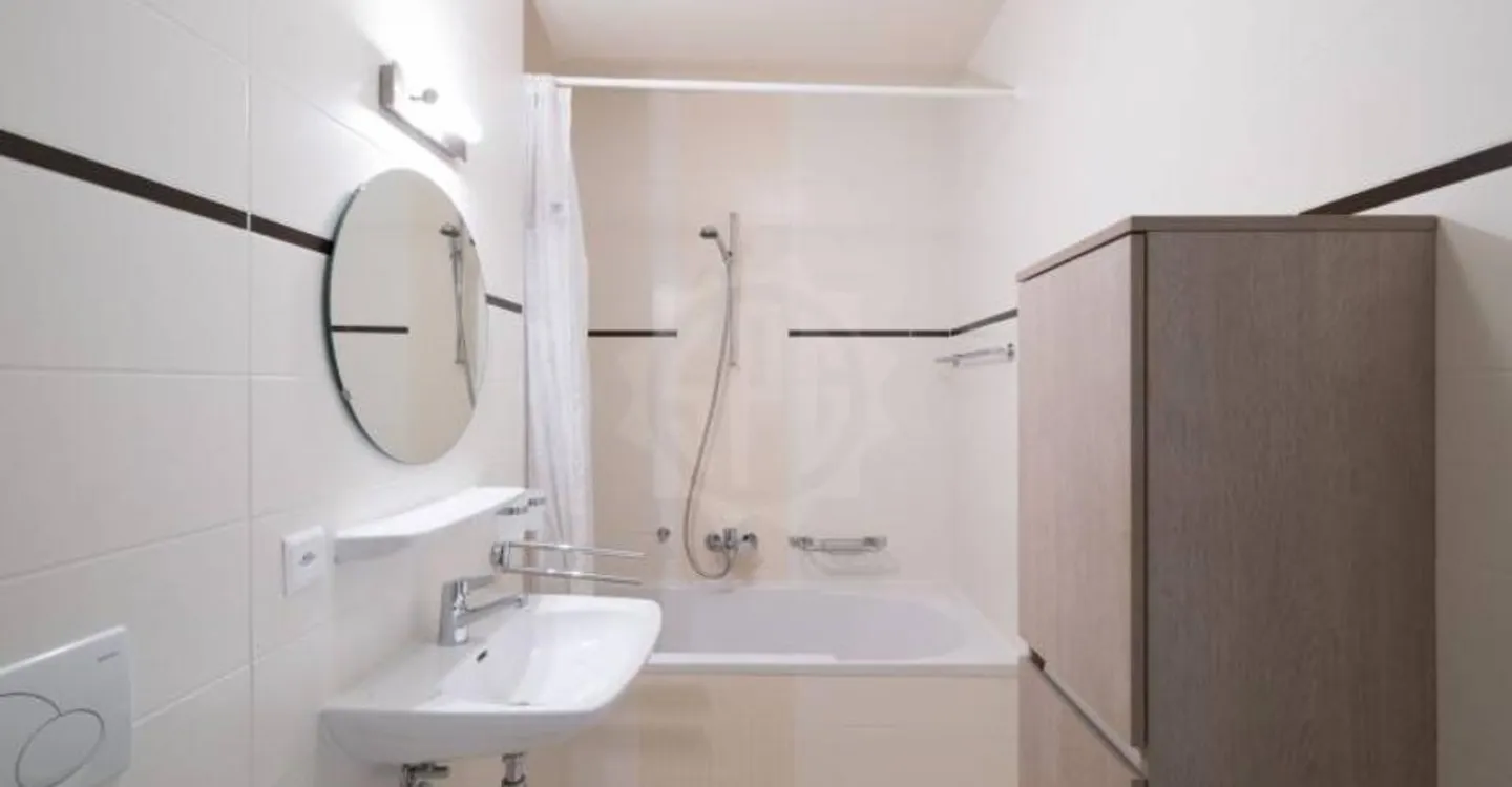 Magnificent apartment - Carouge GE - Photo 10 of 12