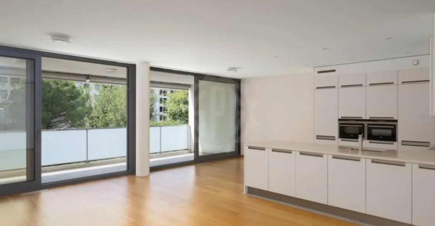Magnificent apartment - Carouge GE - Photo 1 of 12