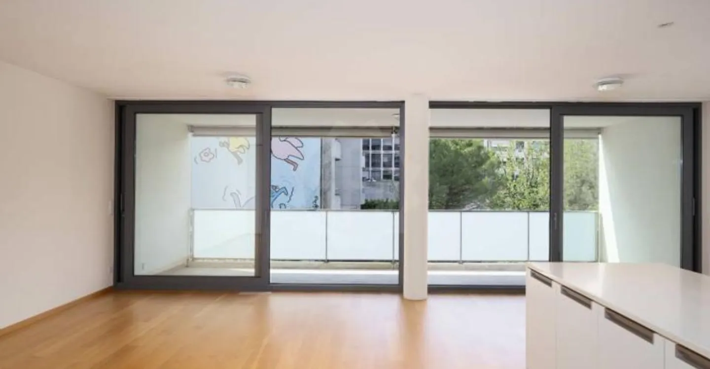 Magnificent apartment - Carouge GE - Photo 2 of 12