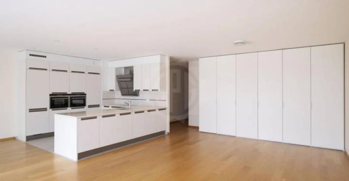 Magnificent apartment - Carouge GE - Photo 3 of 12