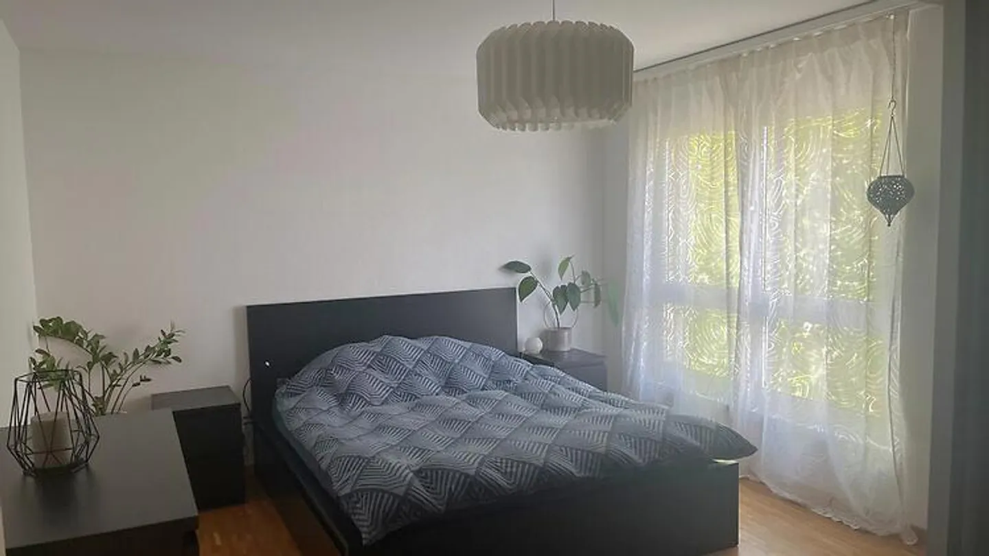 APPARTAMENTO MAISONETTE 5½ STANZE A BERIKON (AG), ARREDATO, TEMPORANEO - Foto 4 di 10