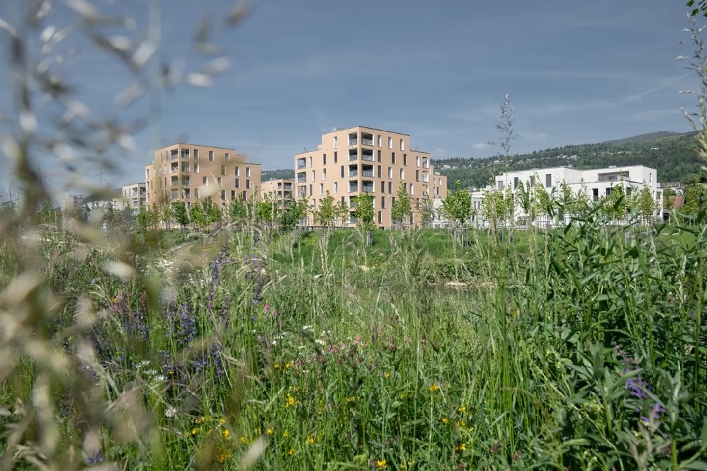 Moderne Wohnung mit Loggia - Foto 9 von 11