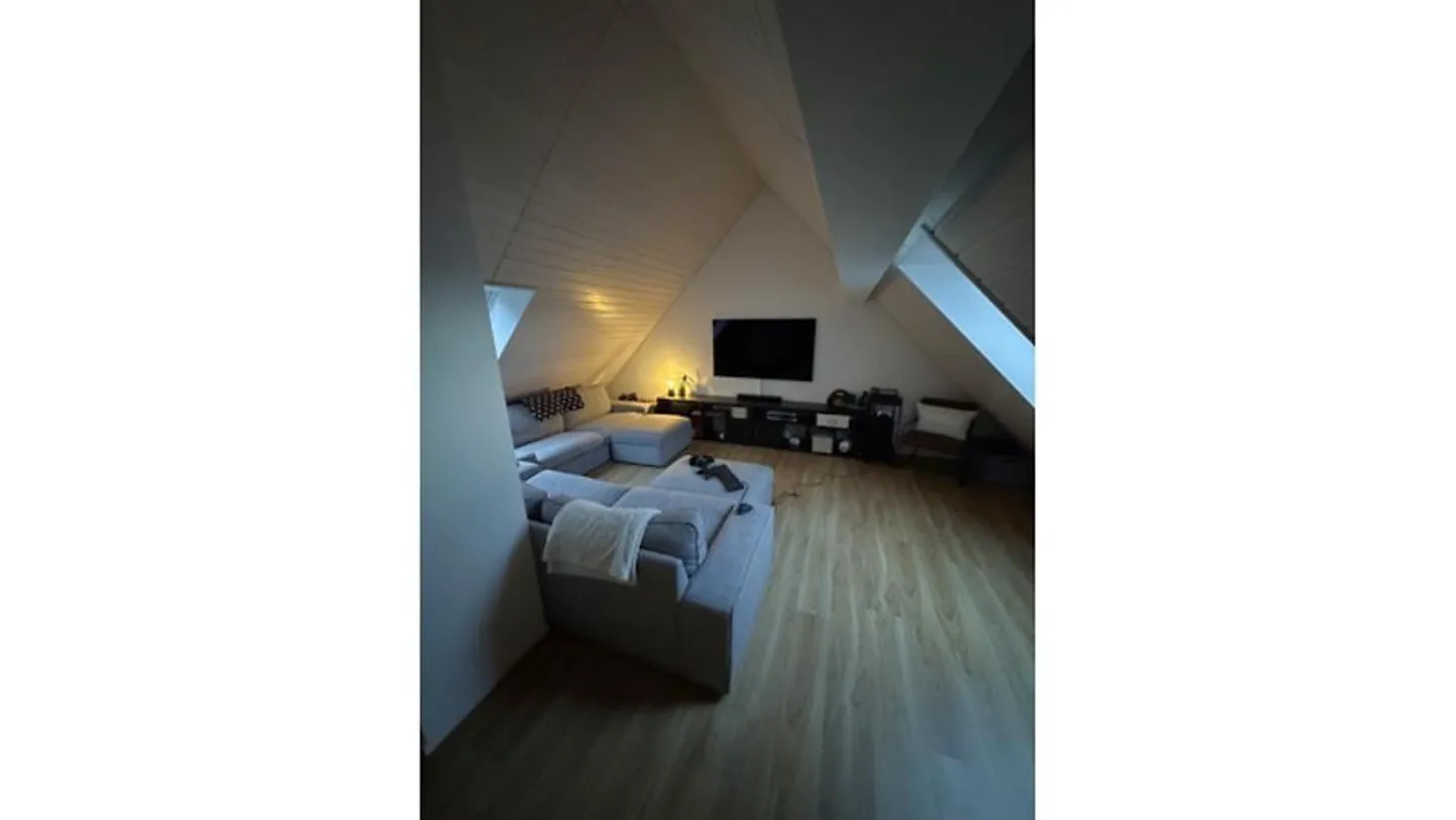 4½ ROOM MAISONETTE APARTMENT IN PFAFFHAUSEN (ZH), FURNISHED, TEMPORARY - Photo 1 of 10