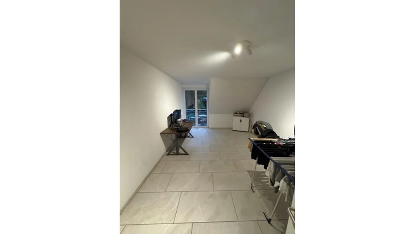 4½ ROOM MAISONETTE APARTMENT IN PFAFFHAUSEN (ZH), FURNISHED, TEMPORARY - Photo 9 of 10