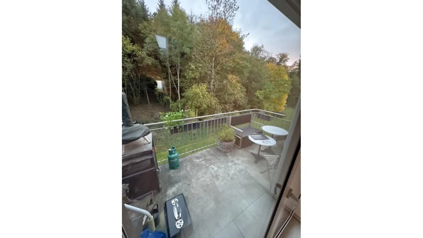 4½ ROOM MAISONETTE APARTMENT IN PFAFFHAUSEN (ZH), FURNISHED, TEMPORARY - Photo 10 of 10