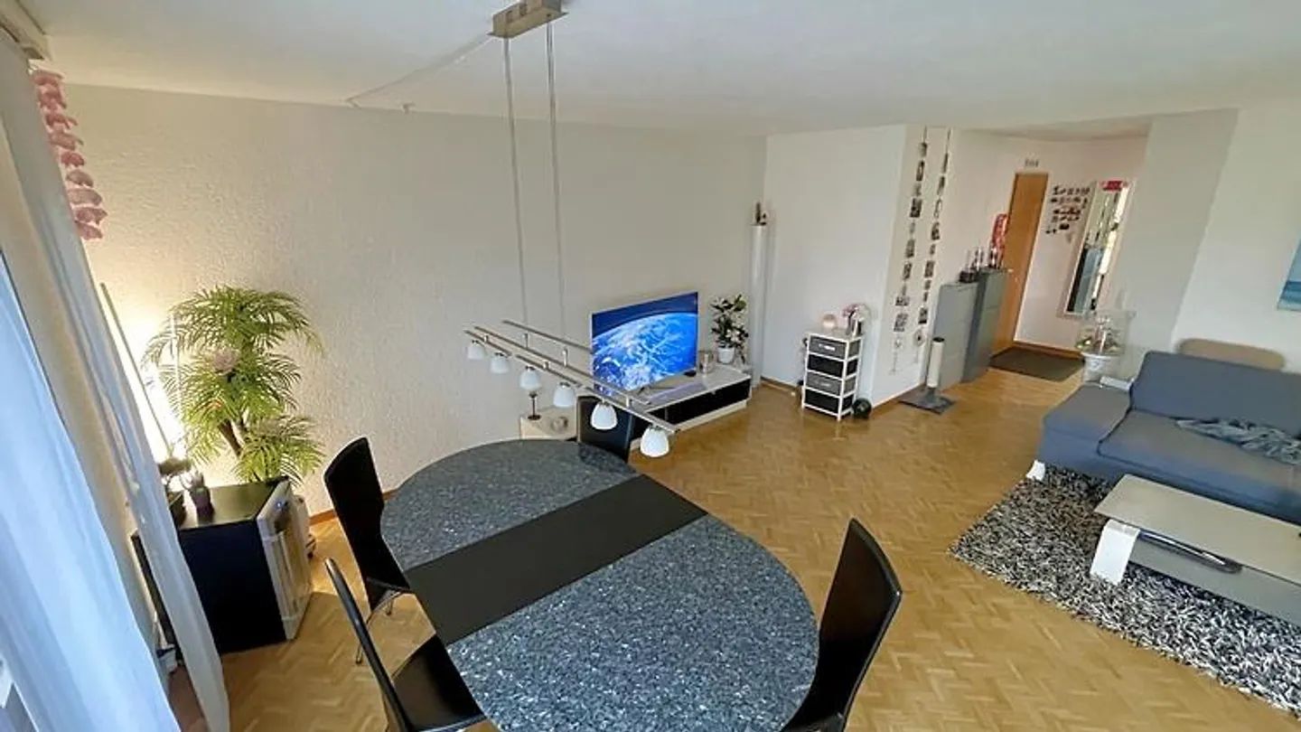 3½ ROOM APARTMENT IN ITTIGEN (BE), FURNISHED, TEMPORARY - Photo 3 of 10