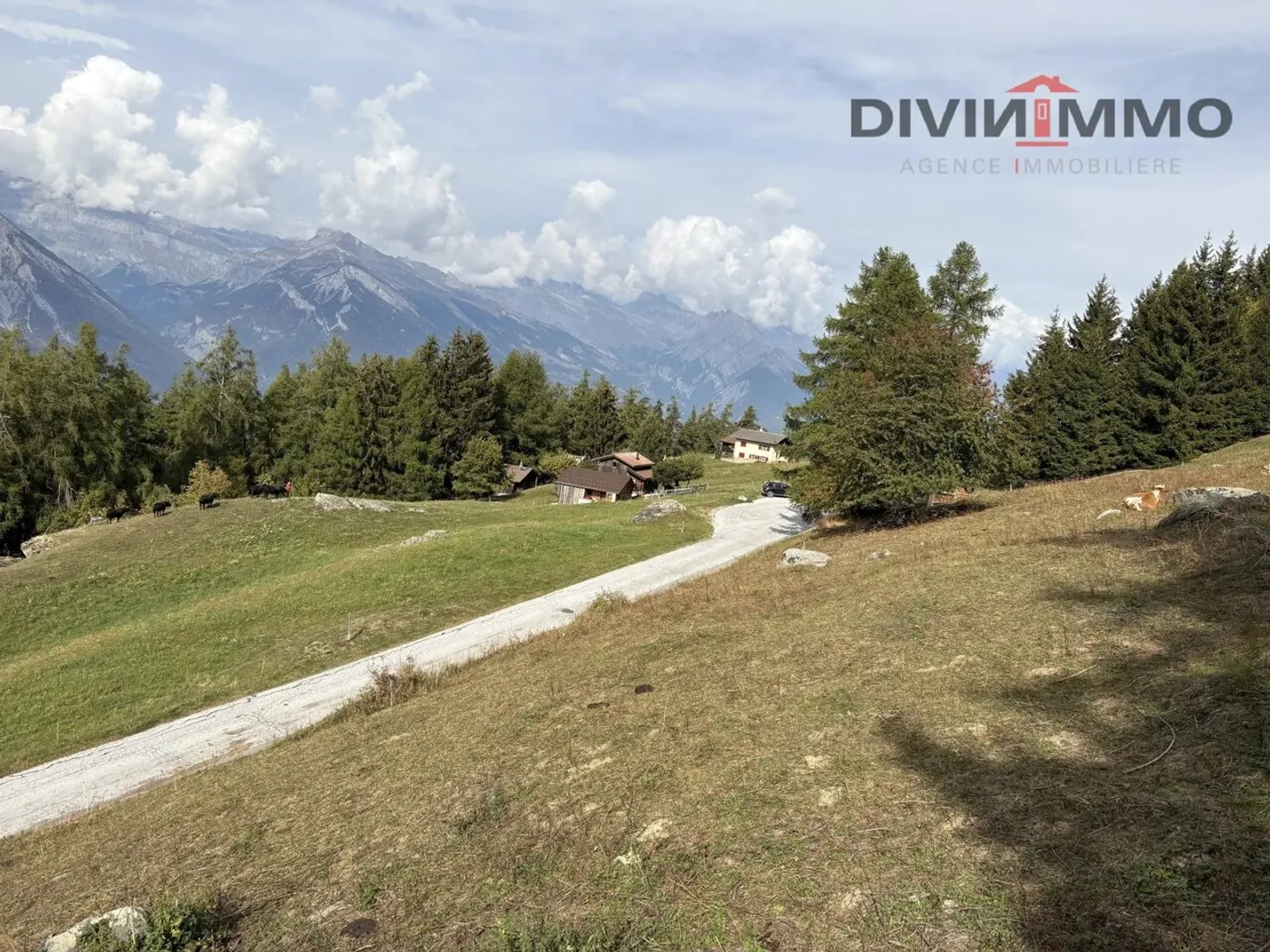 Terrain de Chalet Idéal - Photo 1 sur 5
