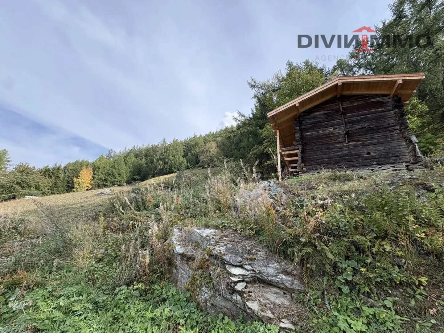 Terrain de Chalet Idéal - Photo 2 sur 5