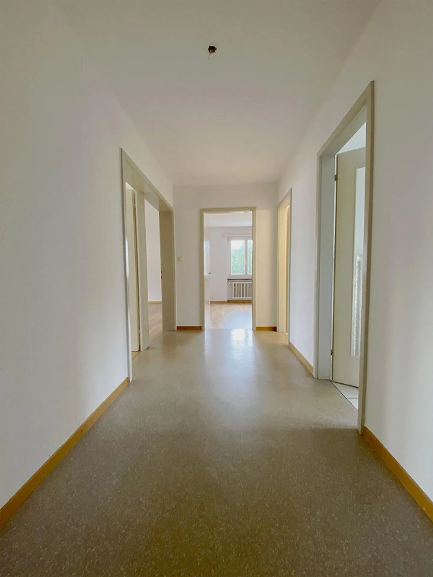 Cozy 4-Room Apartment in Central Location - Photo 5 of 8