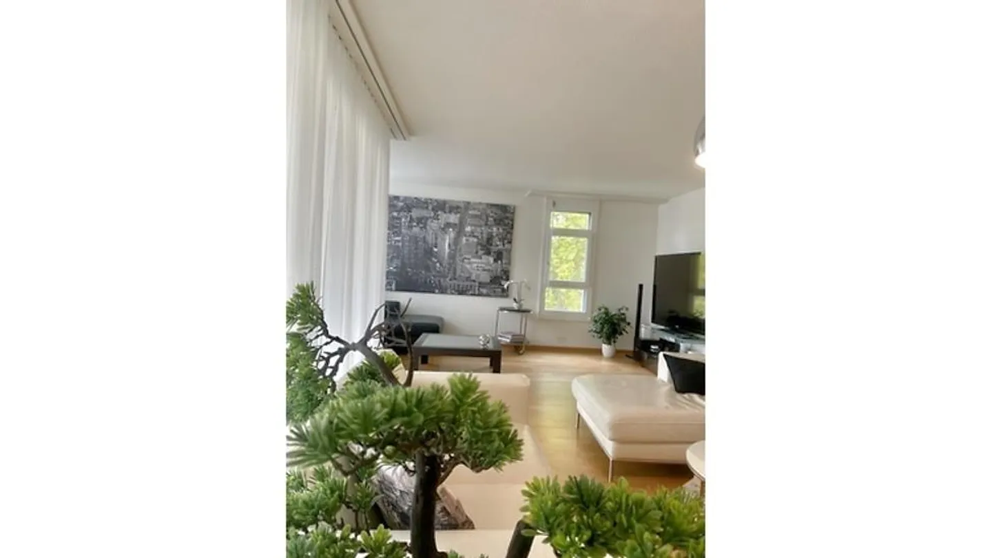 6-room apartment in Bern - Marzili, furnished, temporary - Photo 4 of 9