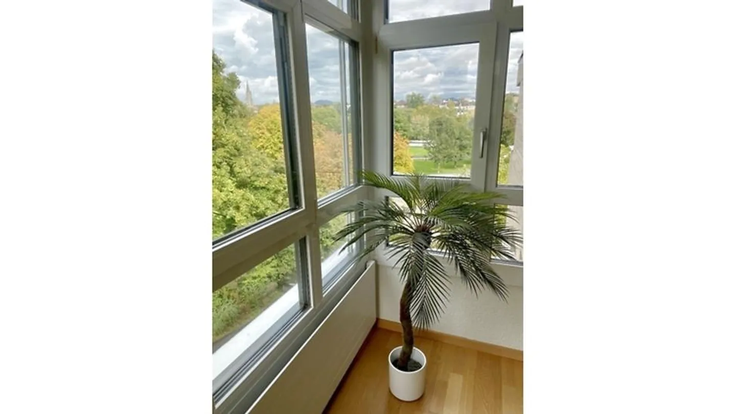 6-room apartment in Bern - Marzili, furnished, temporary - Photo 9 of 9