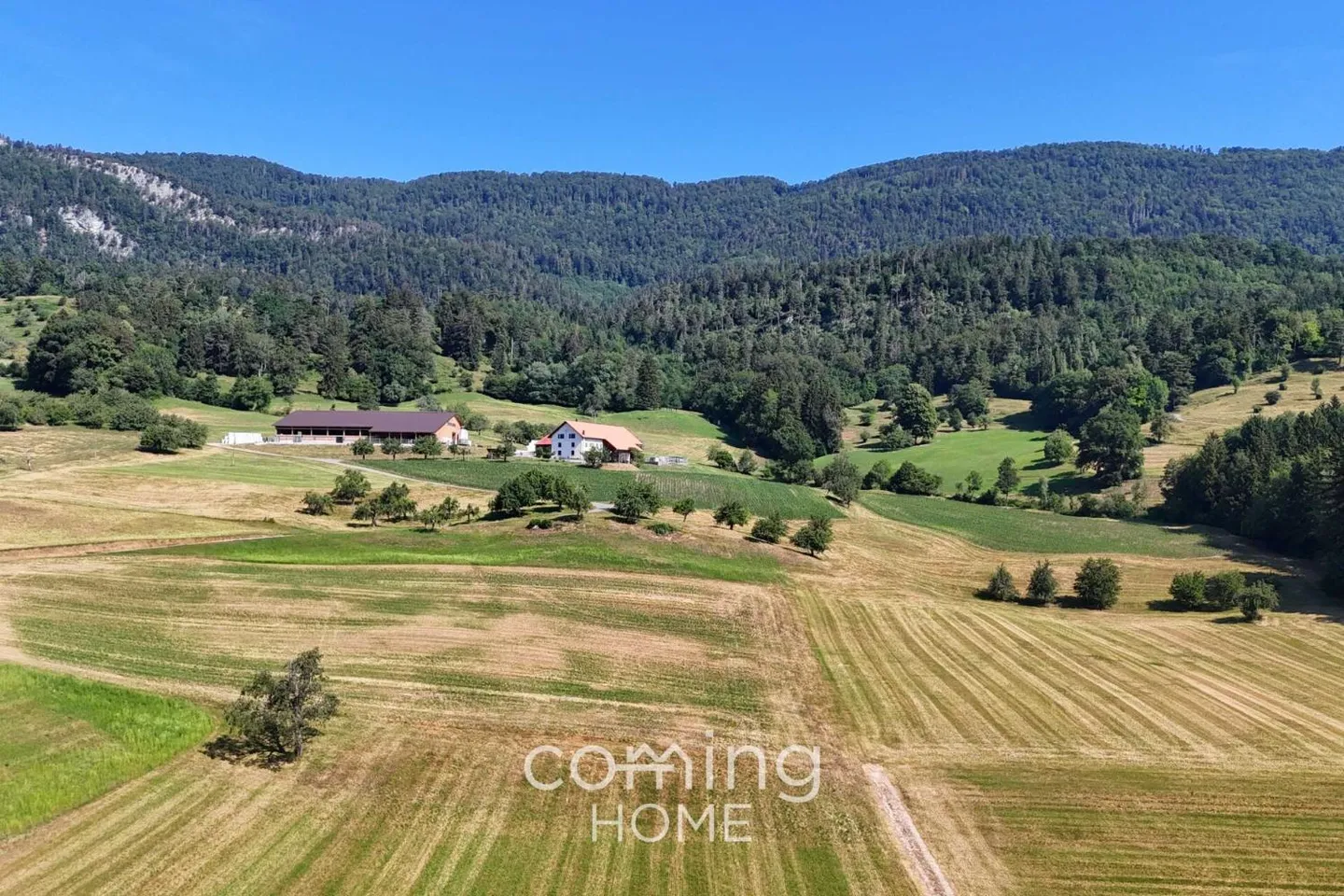 Building Plot in Aedermannsdorf - Photo 3 of 7