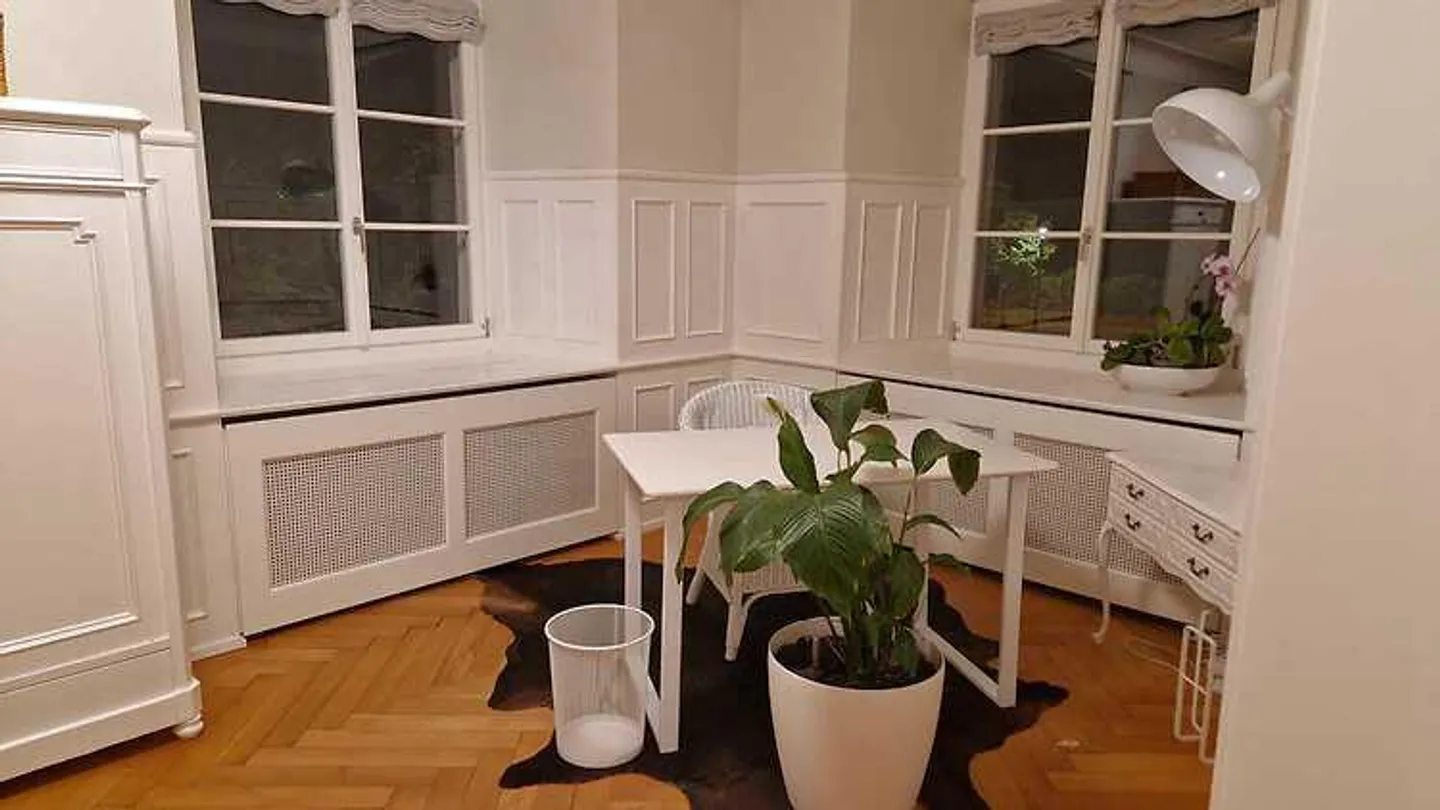 4½ ROOM APARTMENT IN GACHNANG (TG), FURNISHED, TEMPORARY - Photo 3 of 9