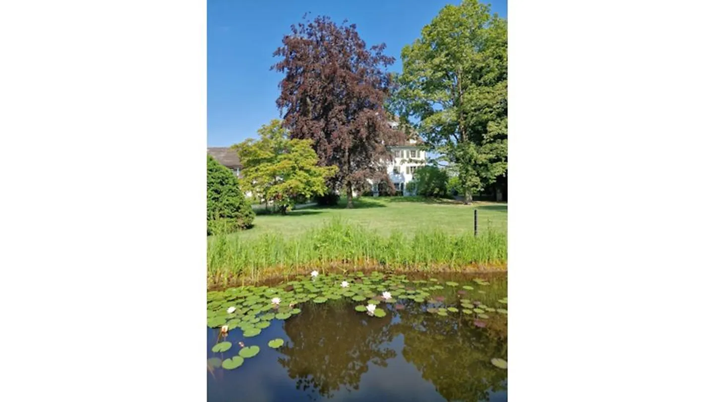 4½ ROOM APARTMENT IN GACHNANG (TG), FURNISHED, TEMPORARY - Photo 7 of 9