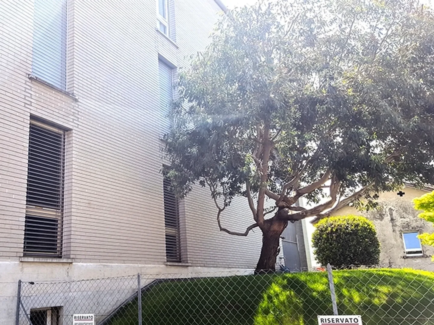 Appartamento in affitto - Foto 5 di 6