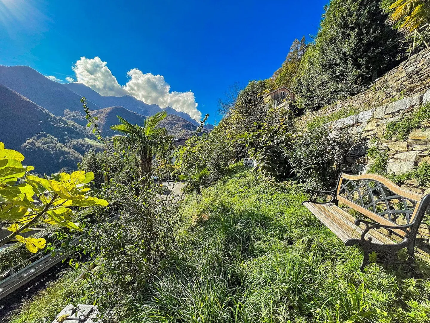 Casa unifamiliare con appartamento mansardato separato - Foto 6 di 13