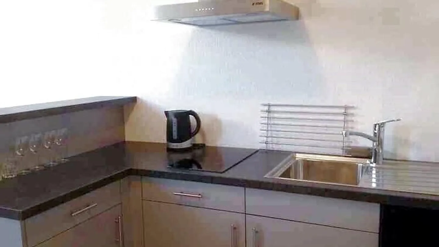 Studio Charmant à Pully - Photo 2 sur 5