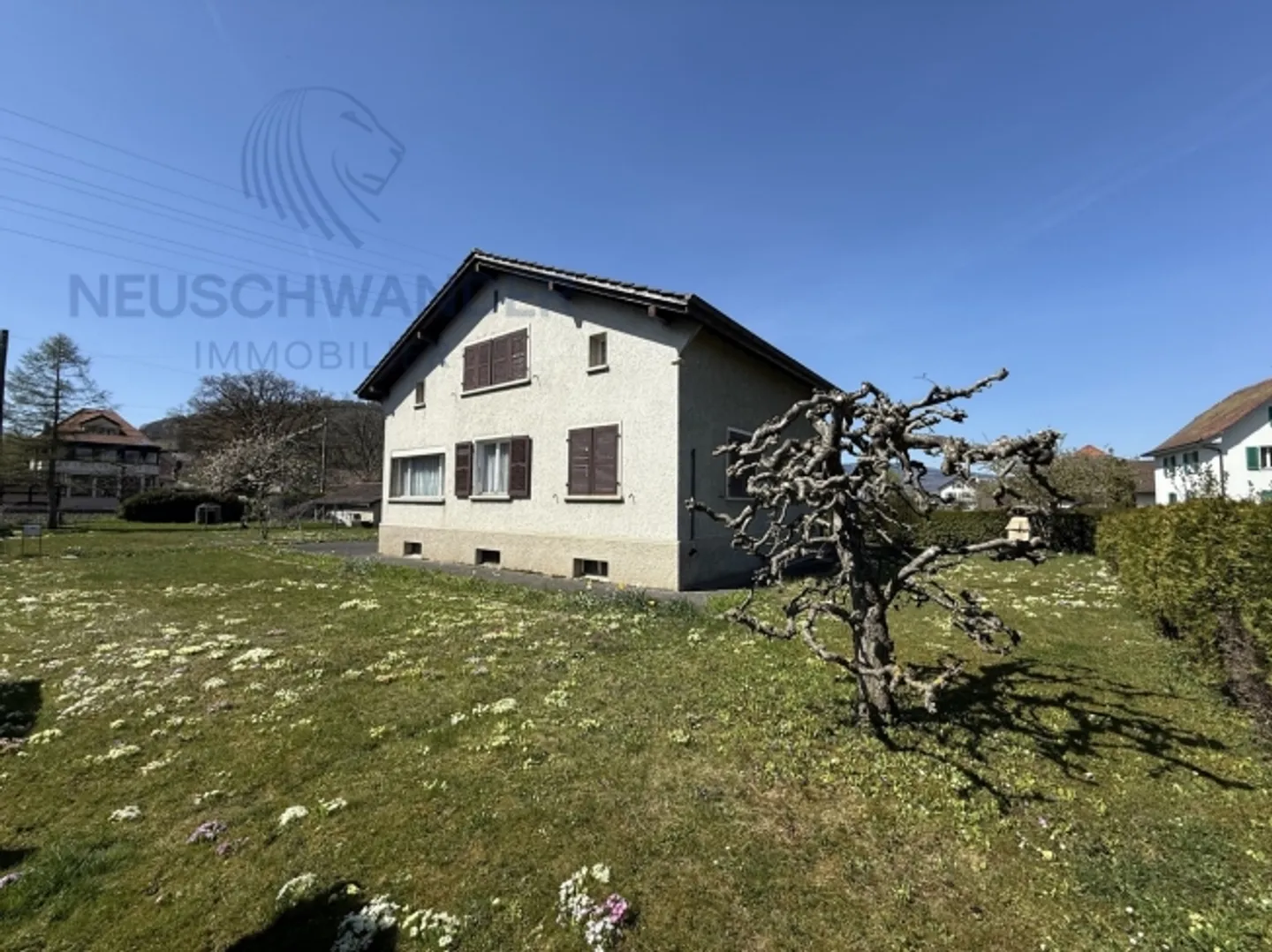 Bel potenziale terreno alberato, laboratorio, garage - Posizione ideale - Foto 3 di 20