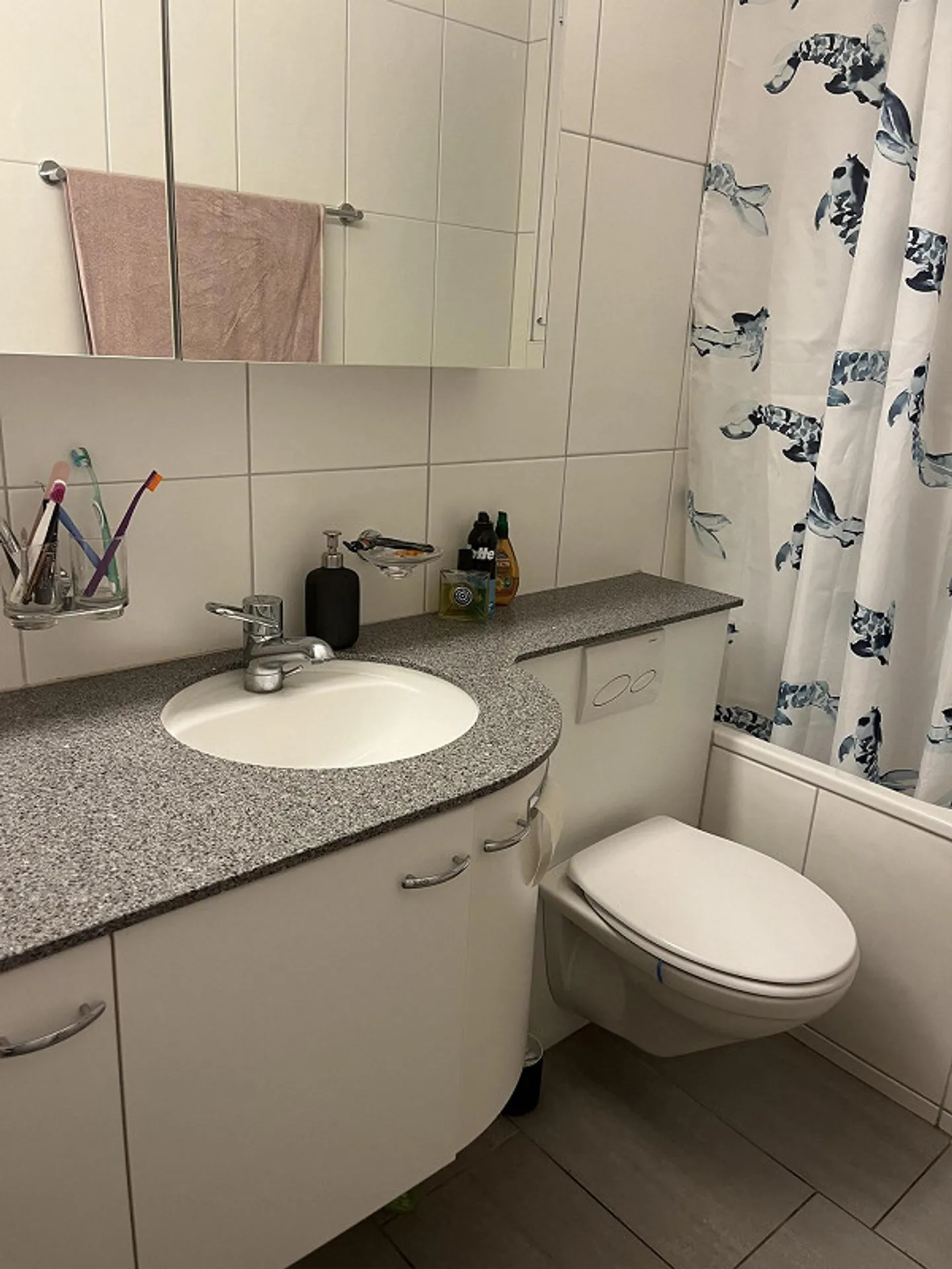 Looking for a new tenant - Photo 6 of 10