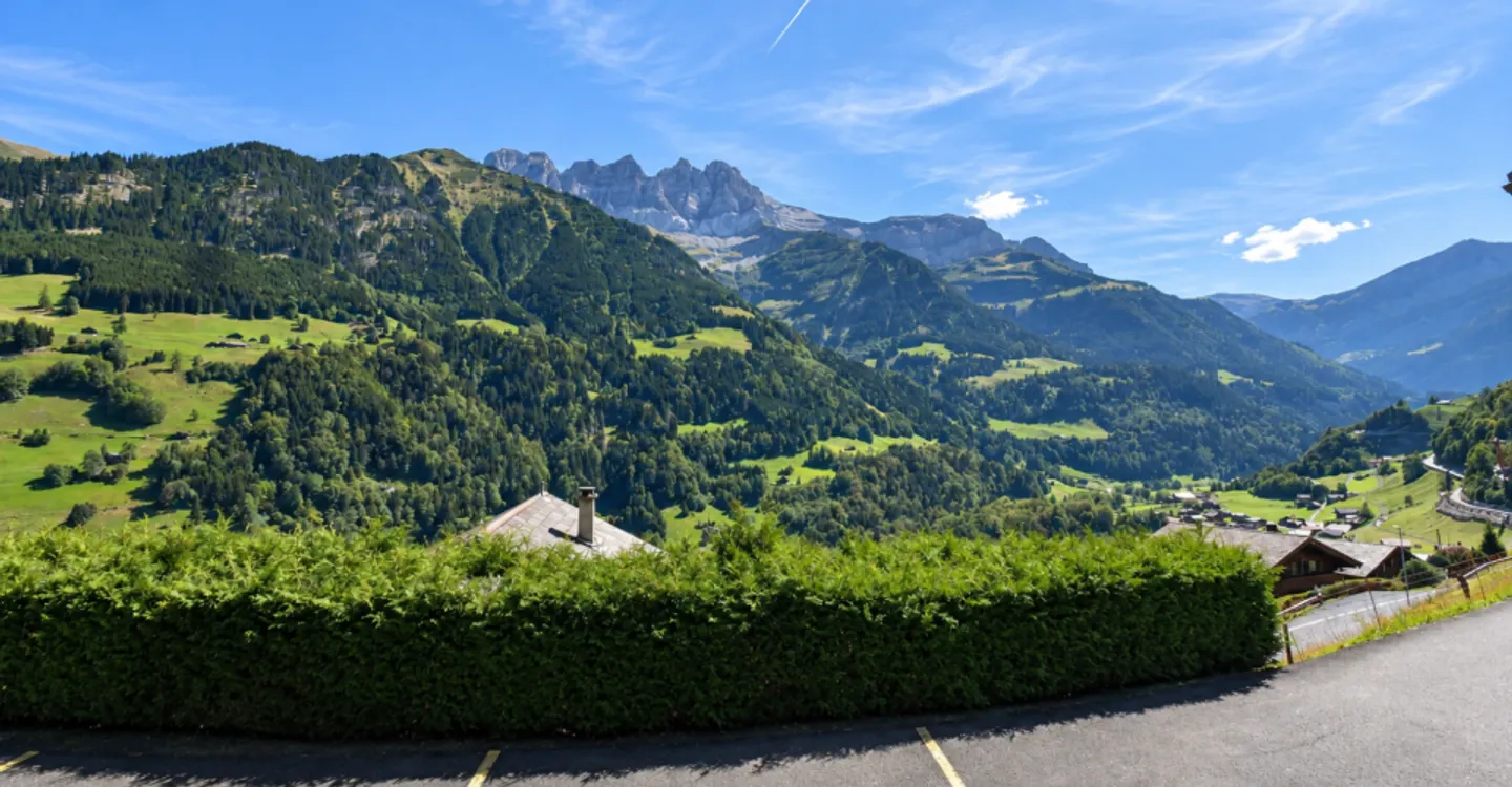 Incantevole appartamento di 4,5 locali in una zona tranquilla di Val-d'Illiez - Foto 9 di 13