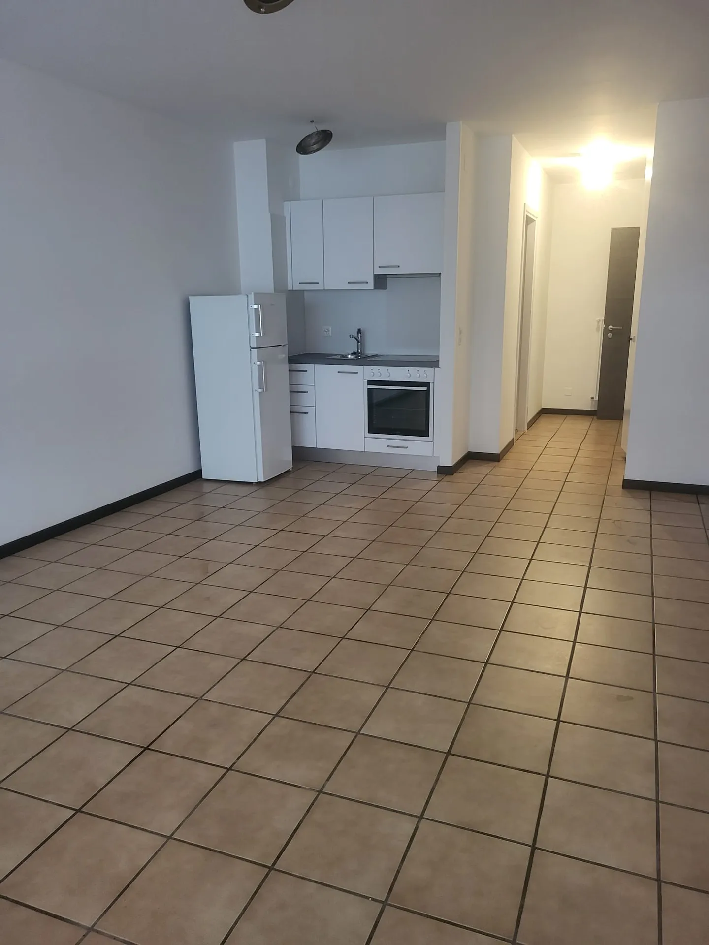 CHIASSO - APPARTAMENTO 1.5 LOCALI - Foto 3 di 5