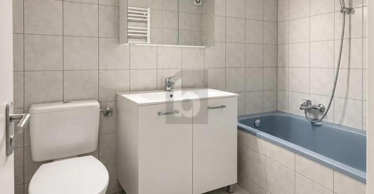 IMMEUBLE 5,4 % ET 2È IMMEUBLE CONSTRUCTIBLE - Foto 5 di 6