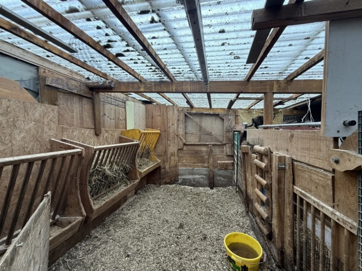 Dorfhaus mit 2 Wohnungen, Werkstatt und Grundstück - Foto 2 von 19