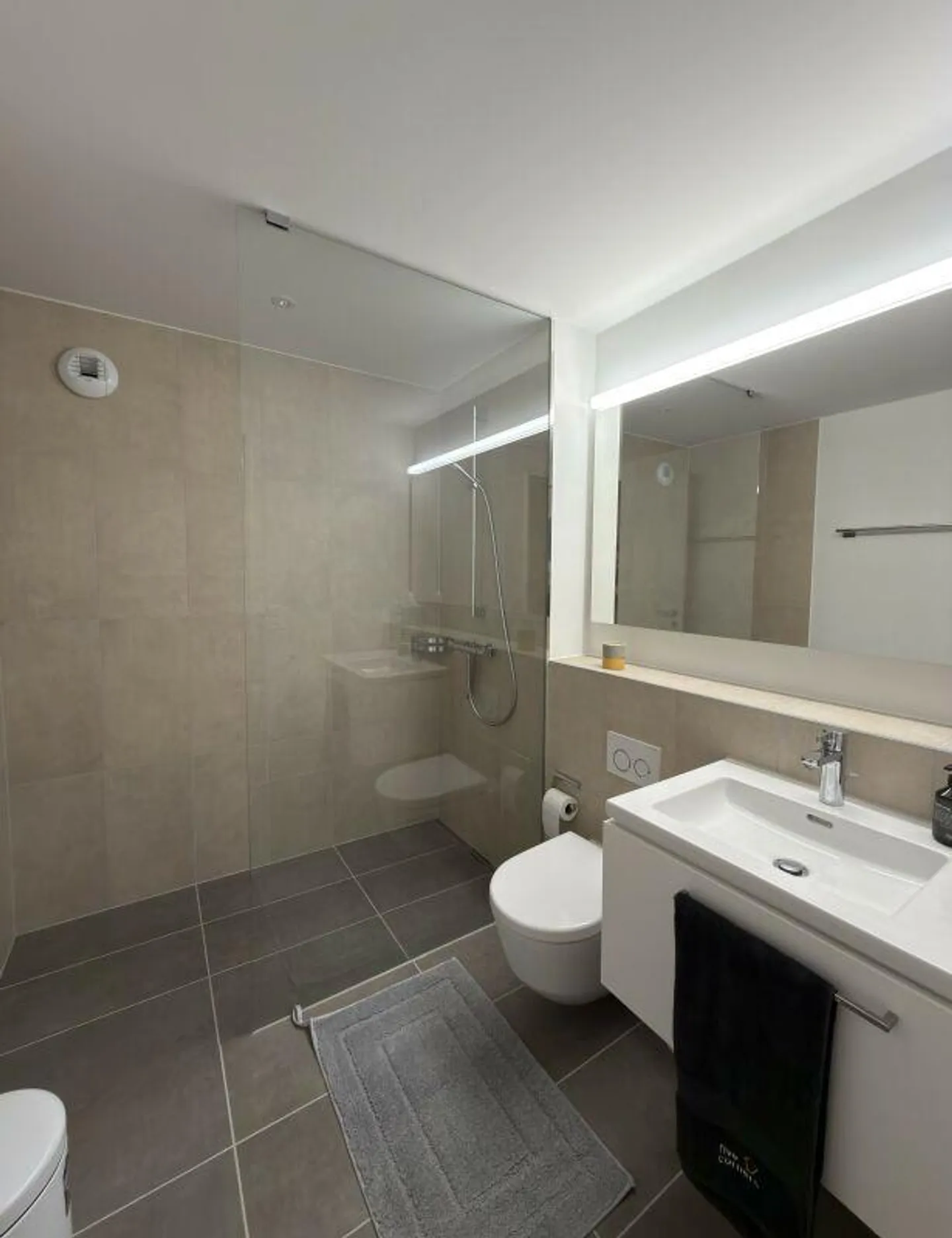 Appartamento arredato di 3,5 locali con vista, situato nel centro di Neuhausen - Foto 7 di 10